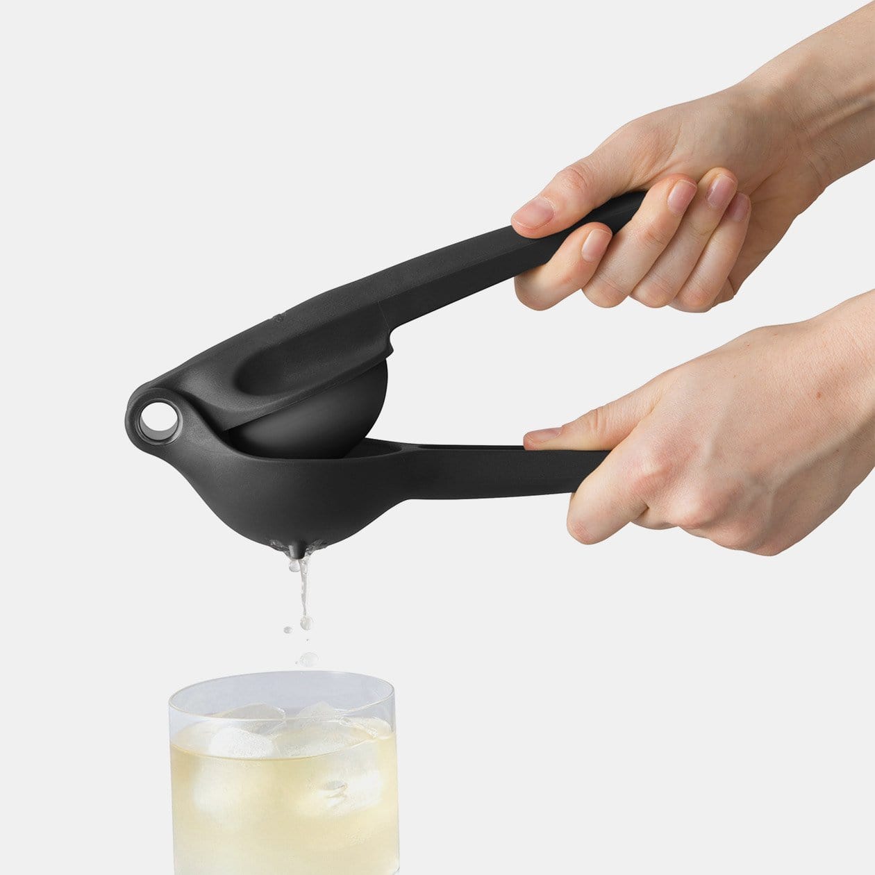 Citrus Juicer